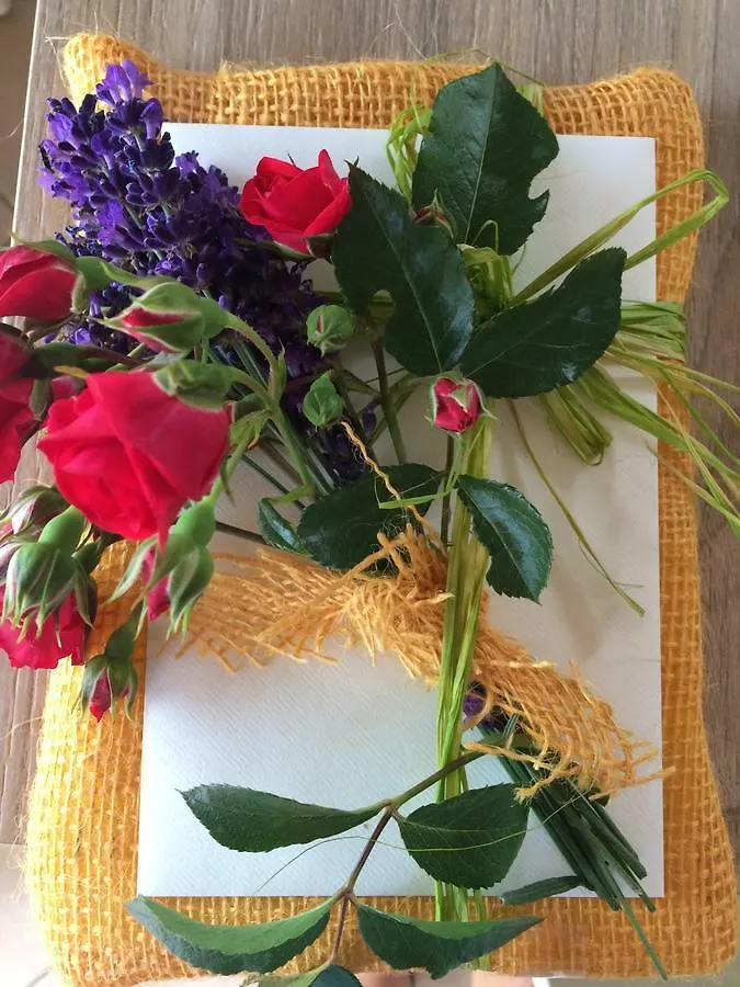 Bed & Breakfast B&B Via Roma 25 Arezzo